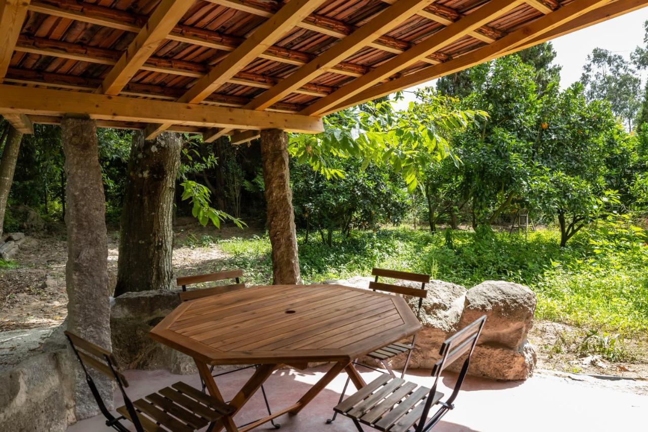 Casas Do Capitao - Paiva Valley - Pool And Nature Castelo de Paiva Bagian luar foto